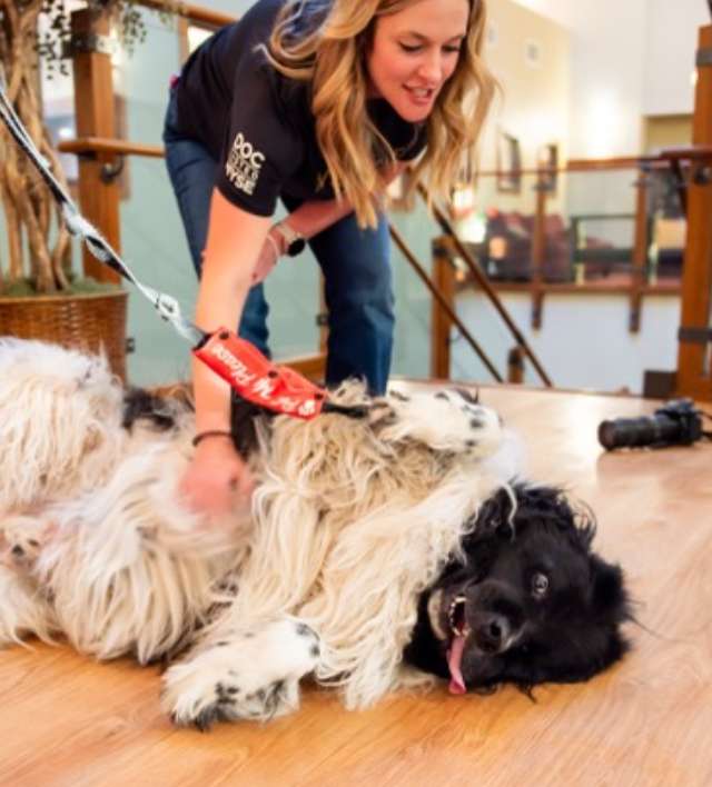 A woman petting a dog